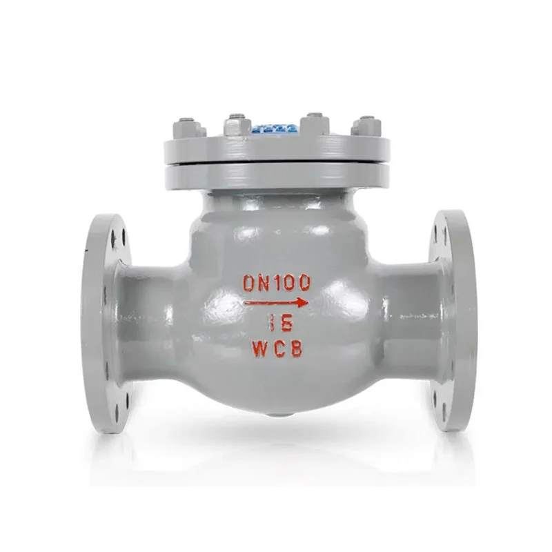 Cast Steel Swing Flange Check Valve